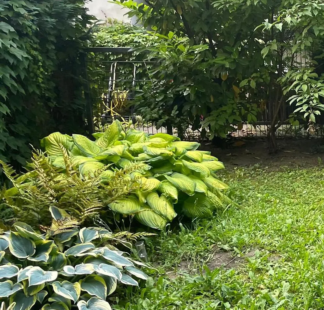 Apartment Mit Logia Und Kleinen Garten In Zentraler Lage 2 Vienna